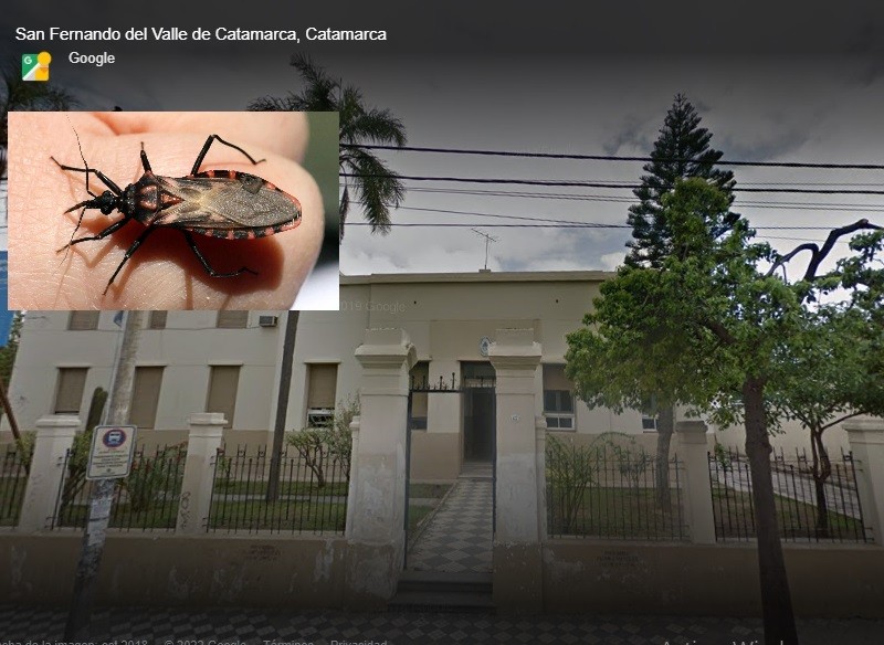 Servicio Nacional De Chagas no trabaja para erradicar el mal de Chagas