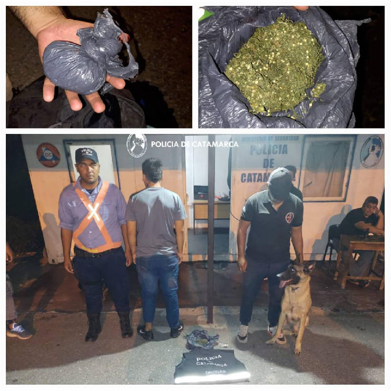 Policías secuestraron Marihuana en Capayán