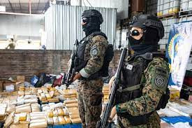Las fuerzas federales quemaron 700 kilos de drogas incutadas