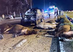 ESTADO DE RUTAS NACIONALES / CONDUCIR CON EL BOTIQUIN PRIMEROS AUXILIO...