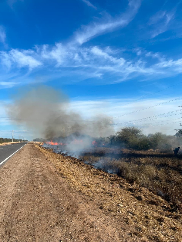 Refuerzan prevención ante la temporada alta y un aumento de incendios forestales