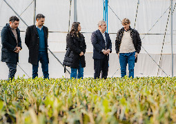 Empresa agroindustrial inaugura un vivero con tecnología de avanzada en FME
