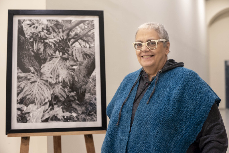 El Museo Laureano Brizuela inaugura la muestra \